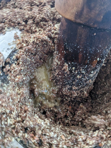 PXL_20240608_095618469 - Copy.jpg