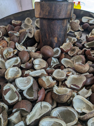 PXL_20240608_115202477 - Copy.jpg