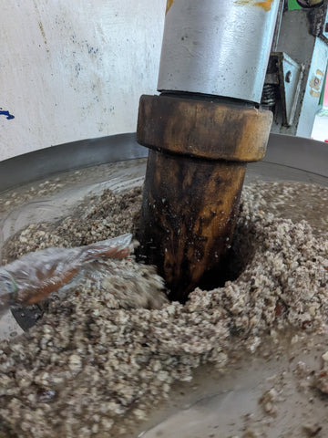 PXL_20240608_115826636.MP - Copy.jpg