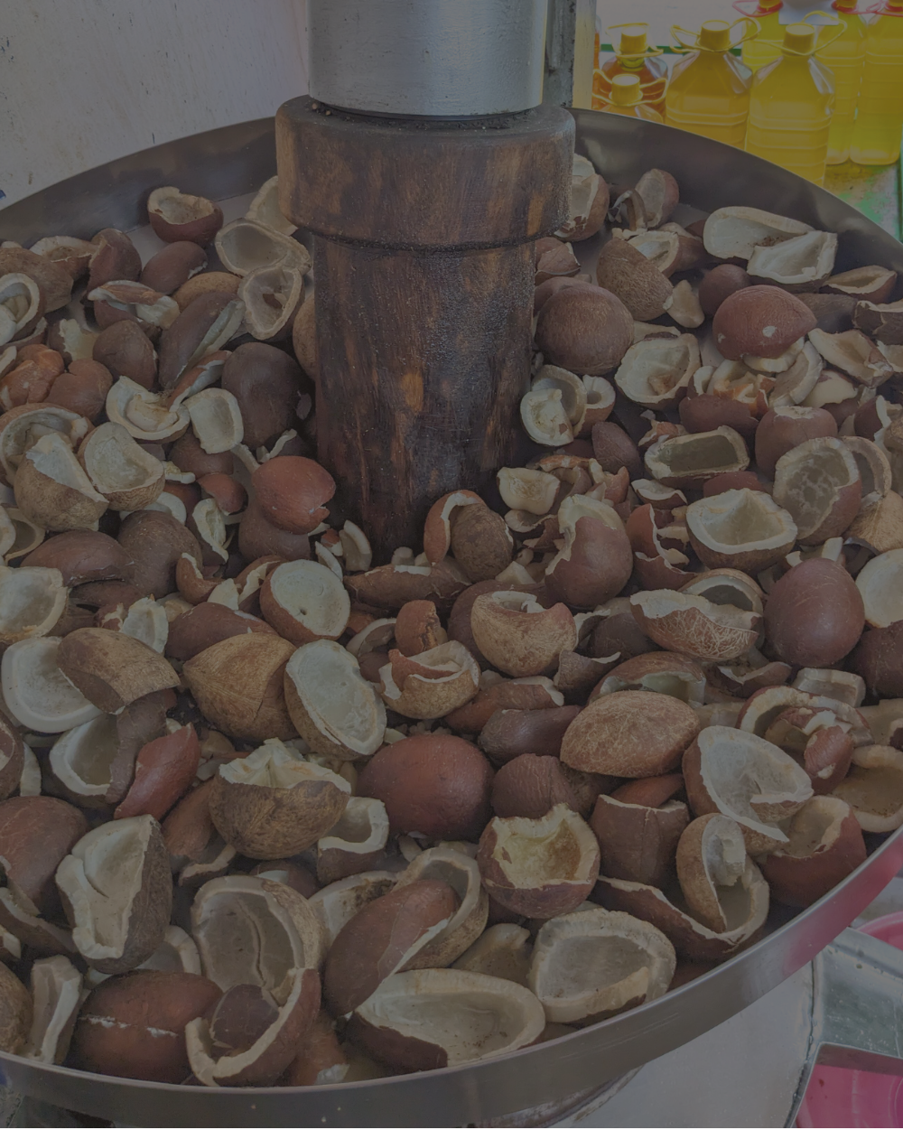 collection-banner-image