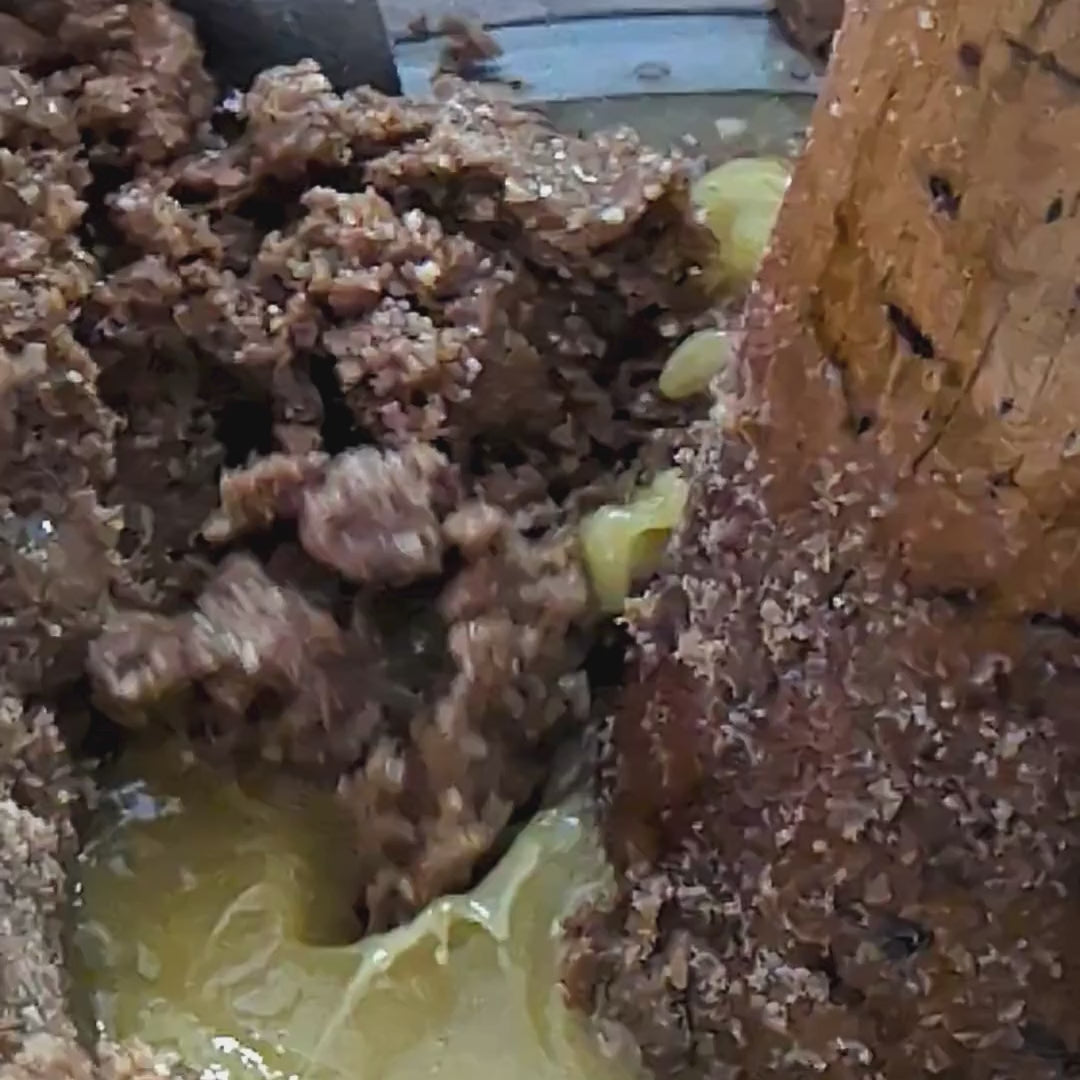 Nuclear Family combo - Sesame Oil - Wood Pressed